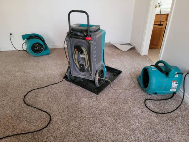 Best Carpet water damage restoration  in Chambersburg, PA