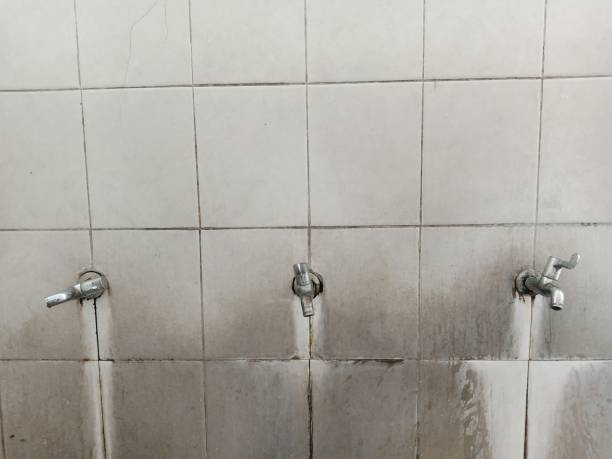Best Flood restoration services  in Chambersburg, PA