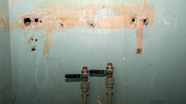 Best Flooded house restoration  in Chambersburg, PA