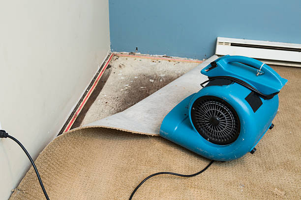Best Emergency water damage restoration  in Chambersburg, PA